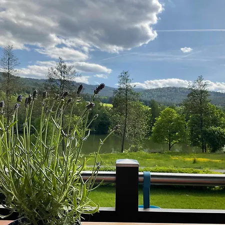 Haus 12 See- Und Bayerwaldblick Für Bis Zu 10 Gäste * Arrach