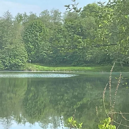 Haus 12 See- Und Bayerwaldblick Für Bis Zu 10 Gäste Сasa de vacaciones *