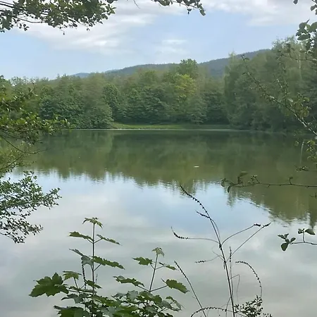 Сasa de vacaciones Haus 12 See- Und Bayerwaldblick Für Bis Zu 10 Gäste