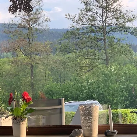 Haus 12 See- Und Bayerwaldblick Fuer Bis Zu 10 Gaeste * أراتش
